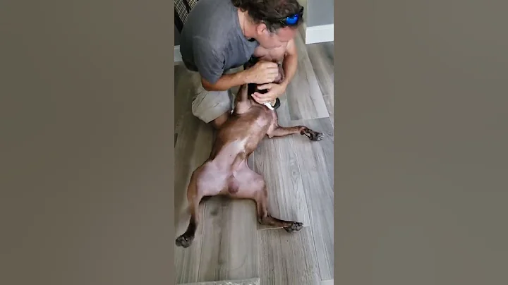 daddyboy2
