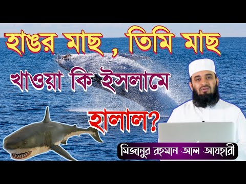 ভিডিও: হাঙর কি এক ধরনের মাছ?