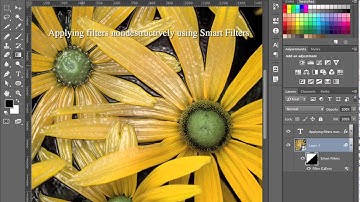 Applying filters nondestructively using Smart Filters