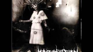 Heaven Shall Burn - Dislocation (Disembodied cover)