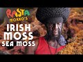 Sea Moss, Irish Moss & Land Moss...Bob Marley's Favorite!