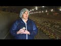 Biosecurity and Health Management on Chicken Farms