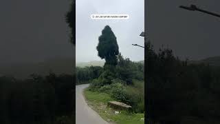 Cherrapunji Trip: The ULTIMATE Travel Guide (2025)