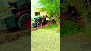 T20 World Cup #tarnding #terending #worldcup #nishudaswal #hr #viral #shortsfeed #short #ytviral #uk