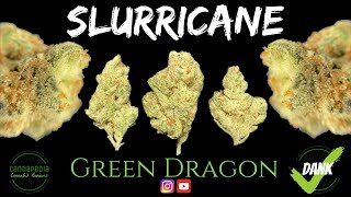 Slurricane Strain Review - Green Dragon - Cannapedia