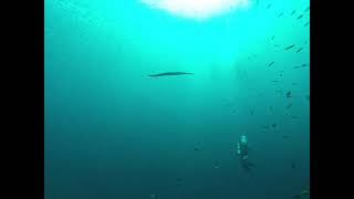 Suba diving in the Similan Islands by Tony T 12 views 2 years ago 9 minutes, 19 seconds