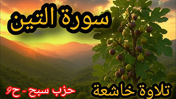 تلاوة خاشعة من سورة التين بصوت نادر تملأ قلبك سكينة 🎧✨, تلاوة هادئة مؤثرة #القرآن_الكريم #سورة التين