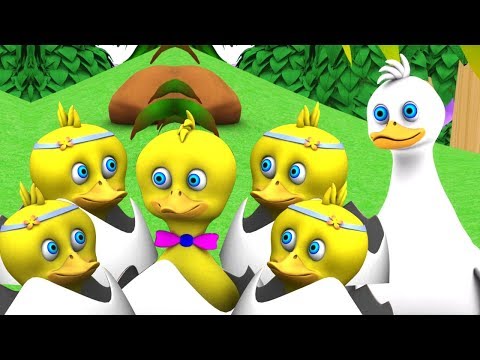 lima-bebek-kecil-|-sajak-anak-anak-|-puisi-untuk-anak-anak-|-sajak-bayi-|-five-little-ducks