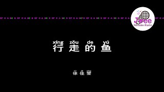 徐佳莹 《行走的鱼》 Pinyin Lyrics 动态拼音歌词 4k