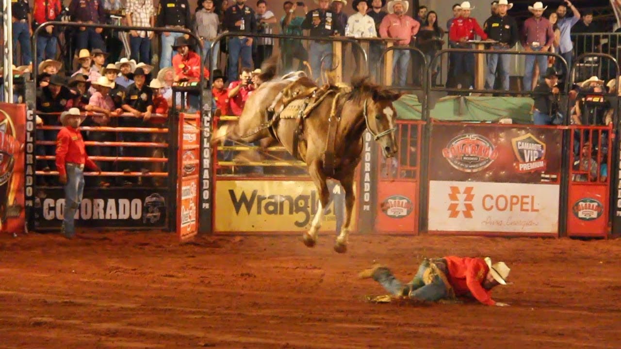 TOP TOMBOS em Cavalos - Rodeio de Colorado 2018 