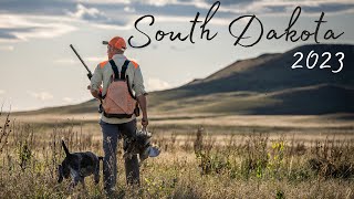 South Dakota Sharptail Grouse And Prairie Chicken - 2023