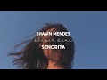 Shawn Mendes Señorita Solo Slowed Version Shawn Mendes Señorita Solo Slowed Version