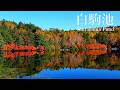The Ultimate Autumn Colours, Magical Reflections and Starry Nights at Shirakoma Pond