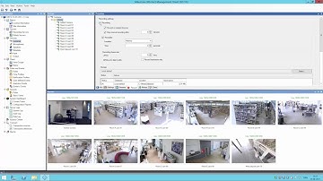 Basic features in the Management Client