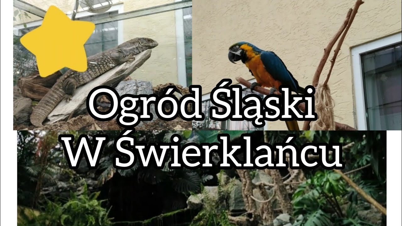Ogrod Slaski Swierklaniec Godziny Otwarcia Ogród Śląski w Świerklańcu (Opis) - YouTube