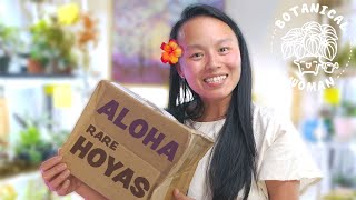 aloha hoyas