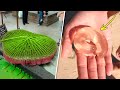 ऐसी चीज़े जो देखने में किसी दूसरे ग्रह की लगती है | Things Look Like they are From Another Planet