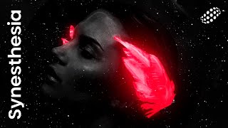 Kamska - Now U Gone feat. Adash (Official Audio) Synesthesia 2.5