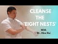 Tapping the eight nests  simple way to get rid of toxins