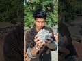 #cbum