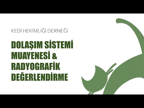 Video: Bunu Lhasa Apso'ya Günlük Vermek Ağrılı Cilt Alerjilerini Azaltmaya Yardımcı Olabilir