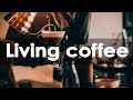 Live coffee  relaxing coffee music  jazz music to work study