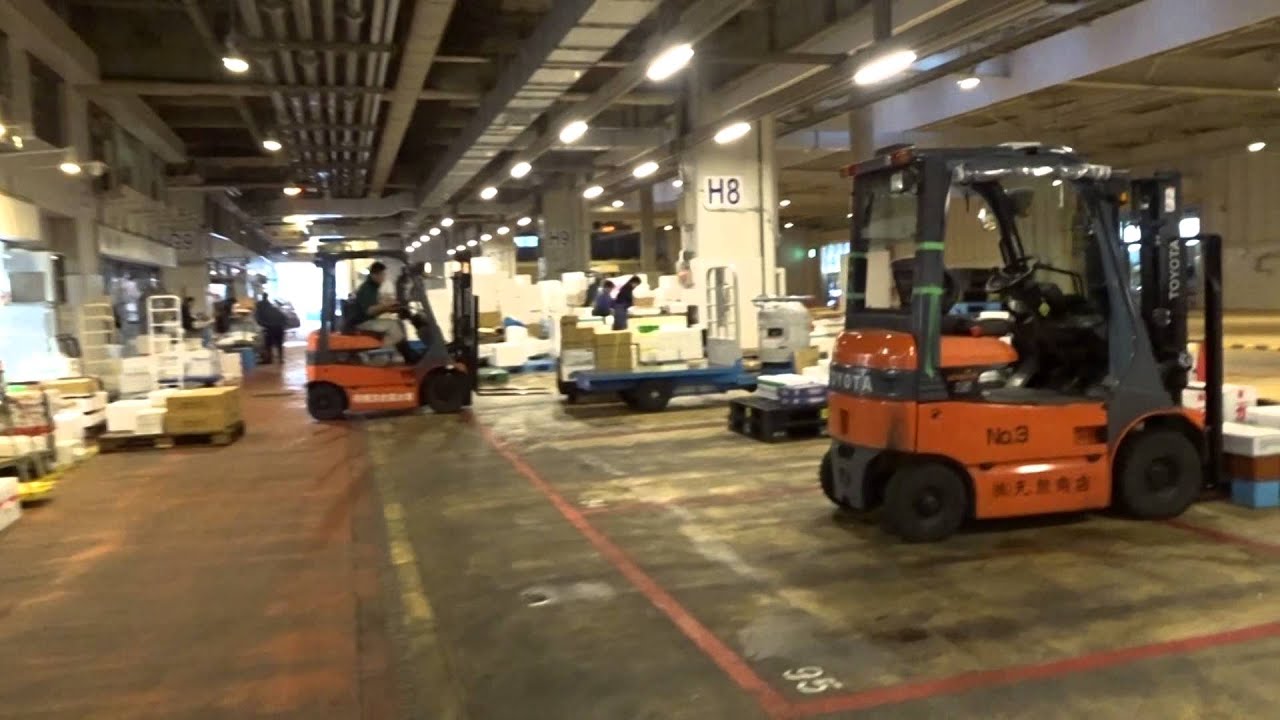 セリ場⇒仲卸売り場⇒荷捌き&保管所⇒駐車場 - YouTube
