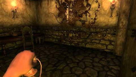 Amnesia - TDD: The Curse (Custom Campaign) [PART 4]