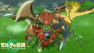 ゲーム史上最高傑作と名高い神ゲー『 ゼルダの伝説 ティアーズ オブ ザ キングダム 』#3