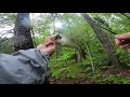 Gone Fishing But I Hit A Deer