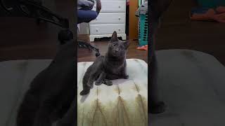 Its Pretty Important.