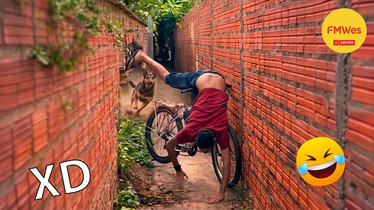 SI TE RÍES PIERDES NIVEL DIOS #722😂 Los Videos Graciosos Y Memes Más Virales Del 2026 😁
