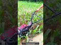 Handheld Mini Power Cultivator Weeding Soil Between Crop Rows in Farmland
