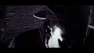 T WIZZLE MUSIC VIDEO