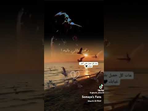 سميه اعتبره قلب وراح   