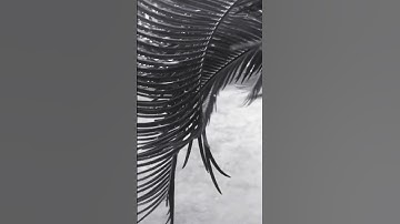 Ruk Jana O Janan || Kishore Kumar || Dev Anand || #bollywood #oldsong #shorts #viralvideo