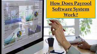 How Does Payrool Software System Work?