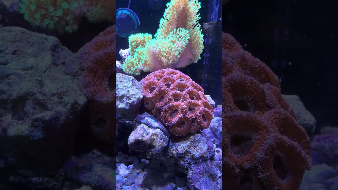 Update after 2 months away