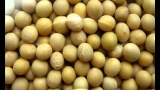 Soya_processing_unit_spa.avi