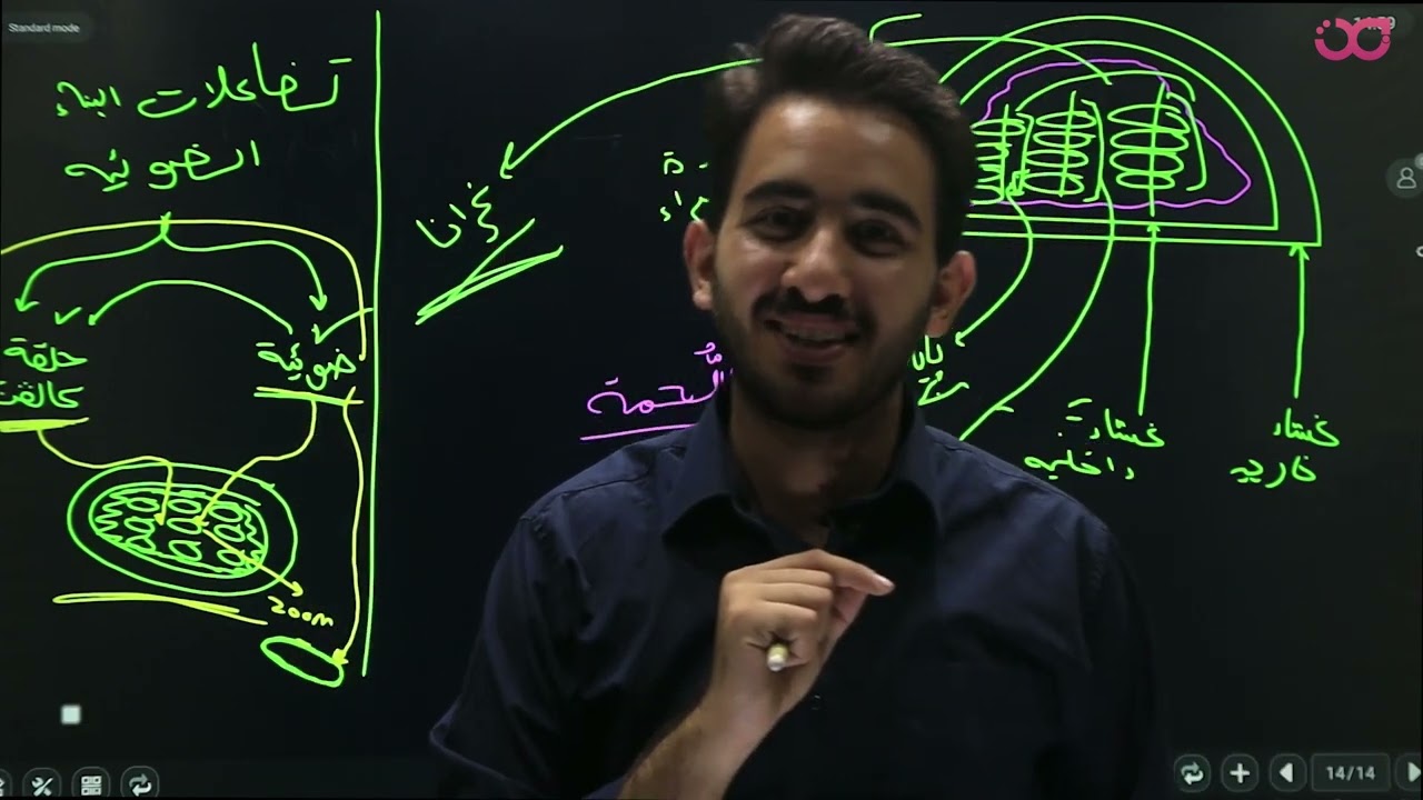 مقدمة البناء الضوئي - الأستاذ محمد بطاينة - جيل 2006