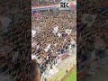 Peluza SUD CSA Steaua - rapid.