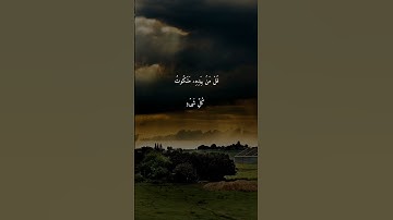 سورة المؤمنون { ٨٤ _ ٩١ } #ياسر_الدوسري #القرآن #انشر_تؤجر