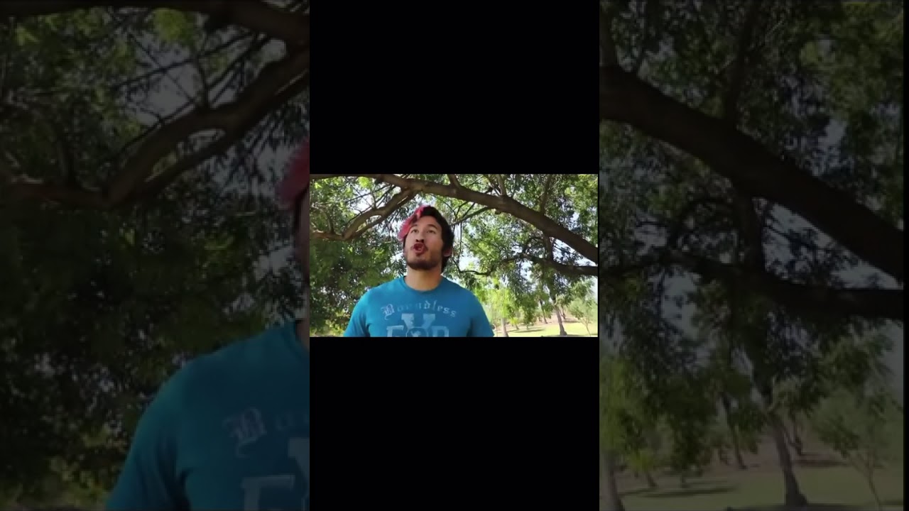 Markipler lil bitch song