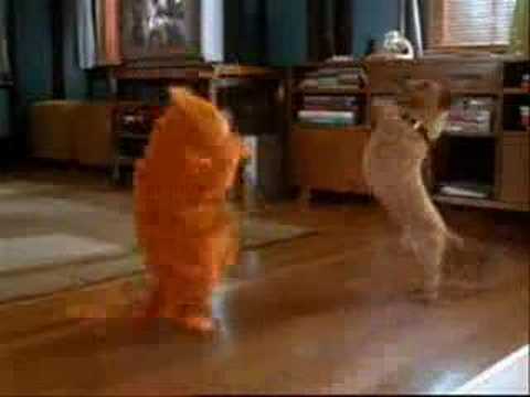 Garfield - Salla [UmT]