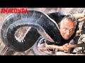 🎬 Film completo di orrore e azione in italiano – ANACONDA  | Recensioni, fatti e opinioni 🐍