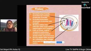 Live tv smpn 8 bogor (materi ipa kelas 9, materi plh 8, pai 7)