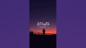 فَٱذۡكُرُونِیۤ أَذۡكُرۡكُمۡ || حالات واتس اب قران كريم || ليطمئن قلبك 💛🌼 || تلاوة خاشعة || ستوريات