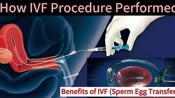 How Does in Vitro Fertilization (IVF) works step-by-step explanation|How IVF procedure performed ♀️