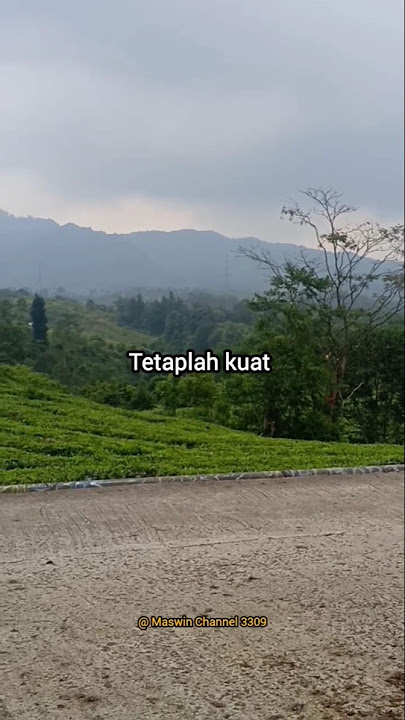 tetaplah kuat #motivasidiri#motivasihidup#katabijak#katabijakpenuhmakna#shorts