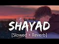 Shayad slowedreverb  arijit singh  lofi  revibe